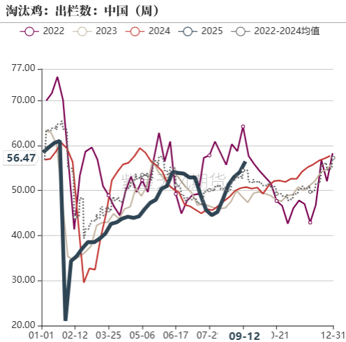 鸡蛋：如何看待近月合约放量上涨
