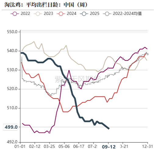 鸡蛋：如何看待近月合约放量上涨