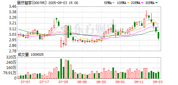 居然智家：公司累计对外担保数量